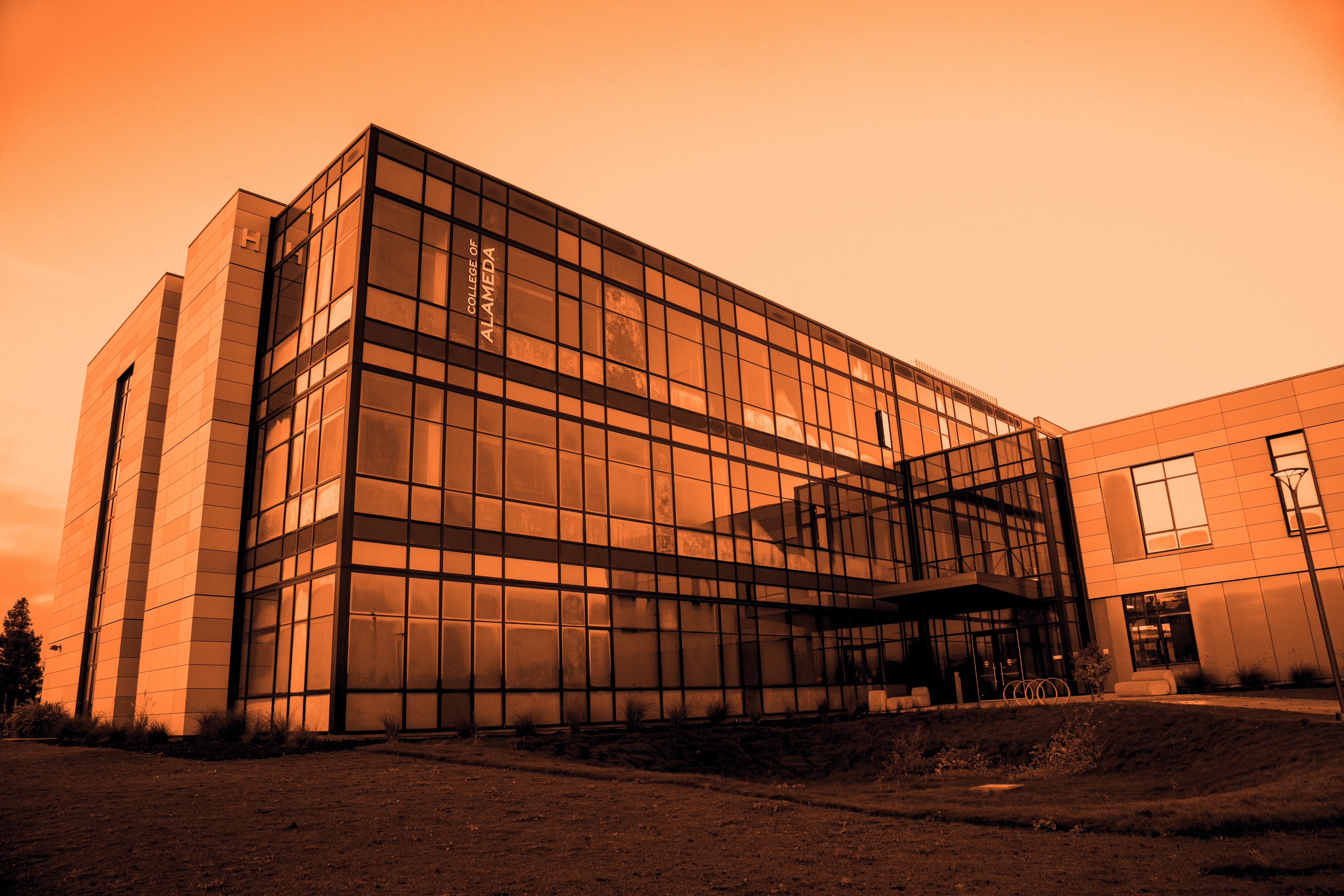 About College of Alameda