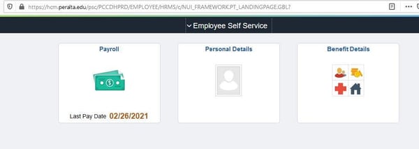 Student Worker View Paycheck 1